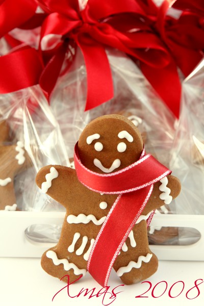 gingerpeople_8 Gingerbread people